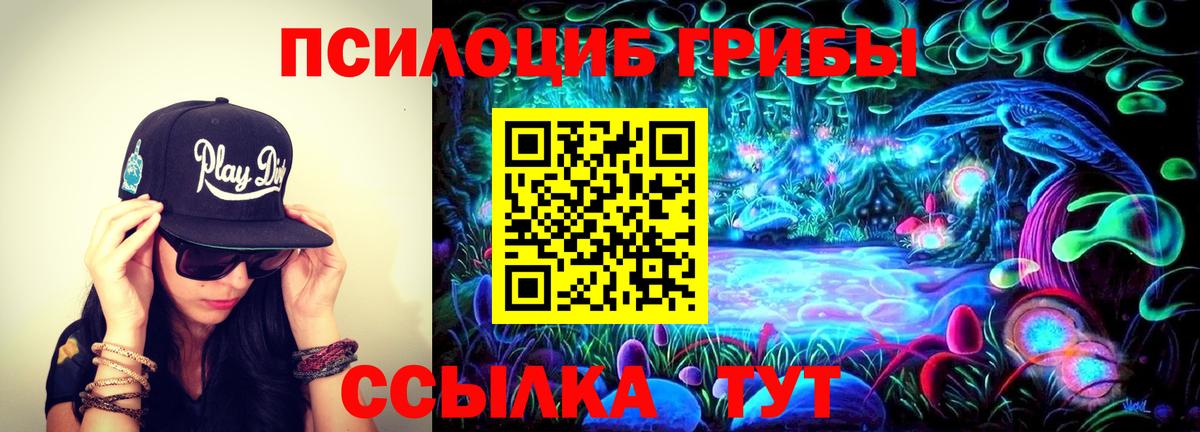 Псилоцибиновые грибы Magic Shrooms Майкоп