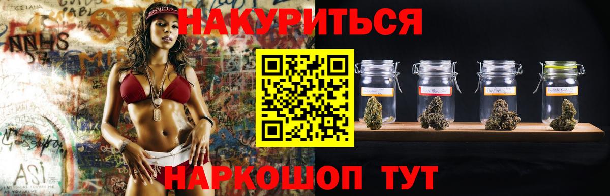 Каннабис семена Майкоп